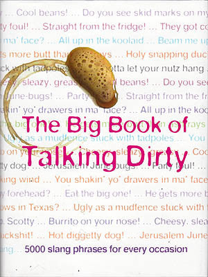 THE BIG BOOK OF SEX TOYS