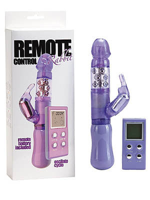 Remote Control Rabbit