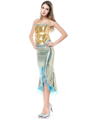 Mermaid Long Dress