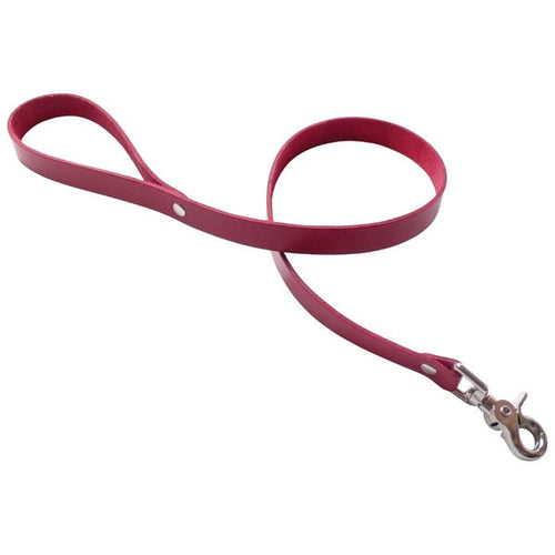 KINKLAB BONDAGE BASICS LEATHER LEASH