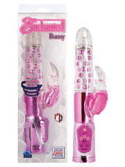 ENCHANTED BUNNY