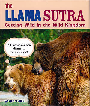 THE KAMA SUTRA STICKER BOOK